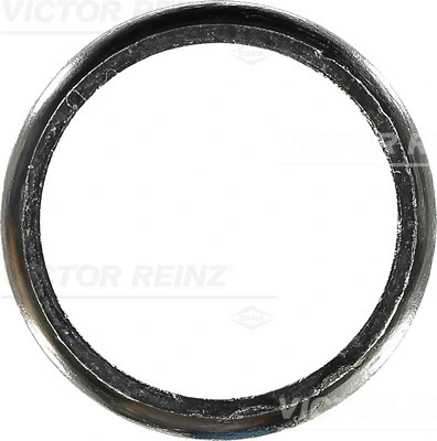 711061500 Victor Reinz