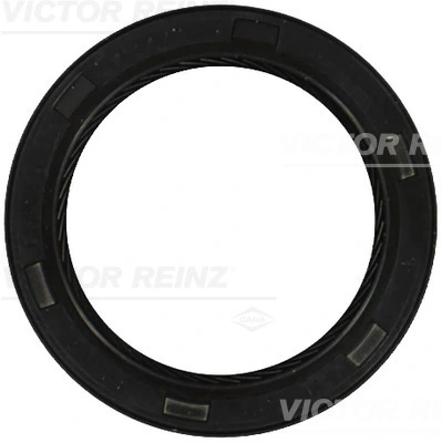 813422700 Victor Reinz