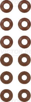 122522704 Victor Reinz