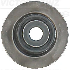 705420600 Victor Reinz