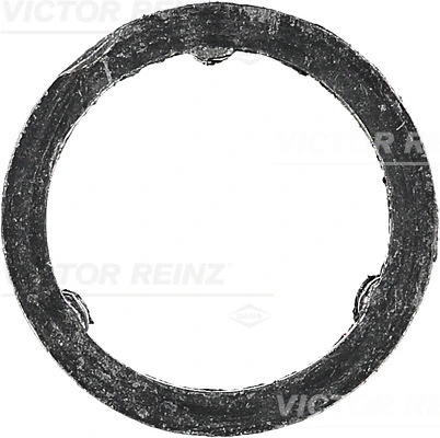711012900 Victor Reinz