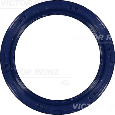 815369900 Victor Reinz