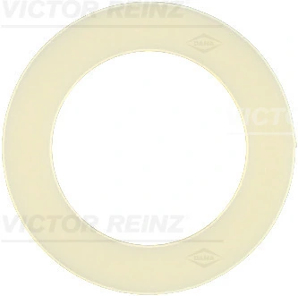 702311700 Victor Reinz