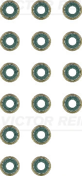 125293901 Victor Reinz
