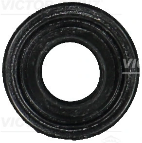 713169400 Victor Reinz