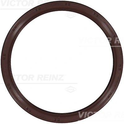 811059900 Victor Reinz