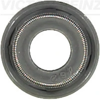 705428100 Victor Reinz