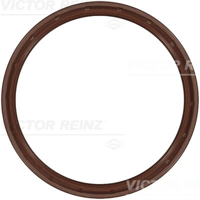 813430100 Victor Reinz