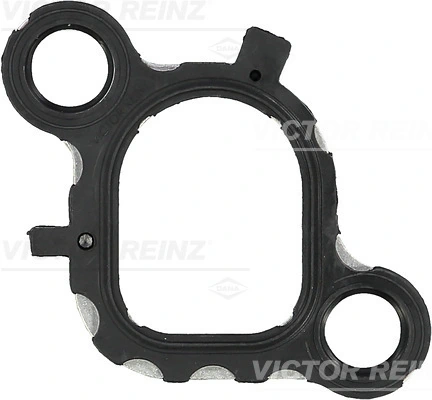 713607900 Victor Reinz