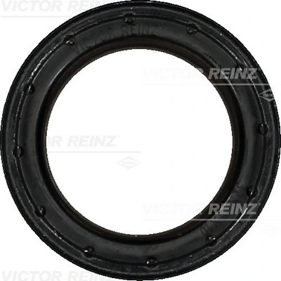 814053800 Victor Reinz