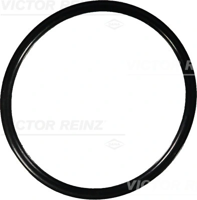 407615000 Victor Reinz