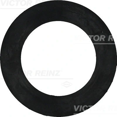 407740800 Victor Reinz