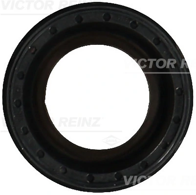 811059400 Victor Reinz