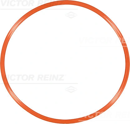 713393100 Victor Reinz