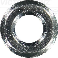 701318600 Victor Reinz