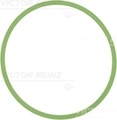 714051300 Victor Reinz