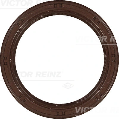 813364400 Victor Reinz