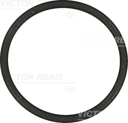 407685400 Victor Reinz