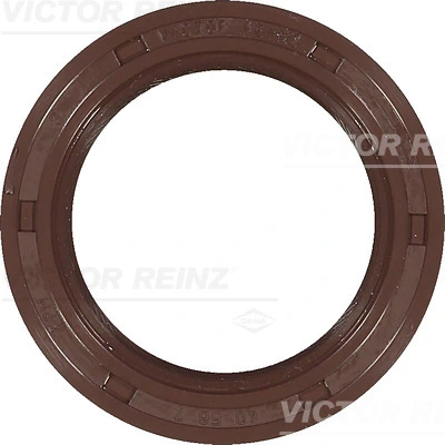 813809300 Victor Reinz