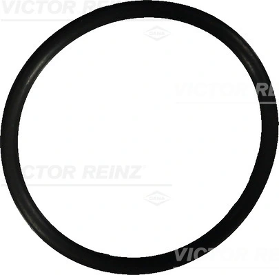 407602210 Victor Reinz