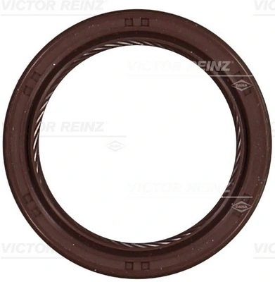 811051100 Victor Reinz