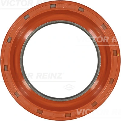 813760100 Victor Reinz