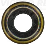 703620600 Victor Reinz