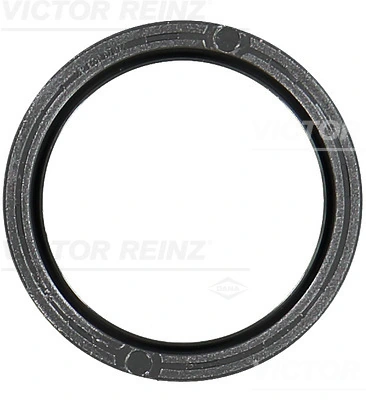 811048100 Victor Reinz
