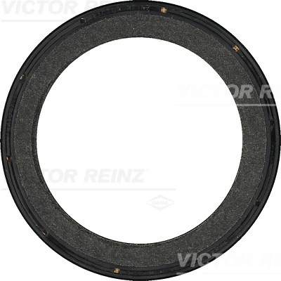 813619800 Victor Reinz