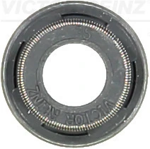 705395700 Victor Reinz
