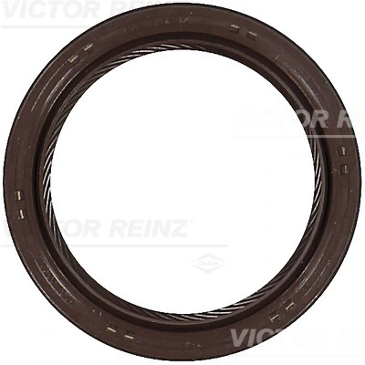 811047300 Victor Reinz