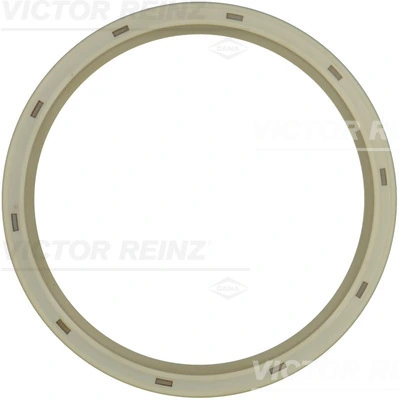 811013700 Victor Reinz