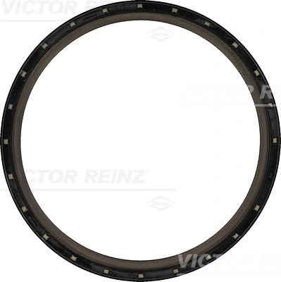 814291300 Victor Reinz