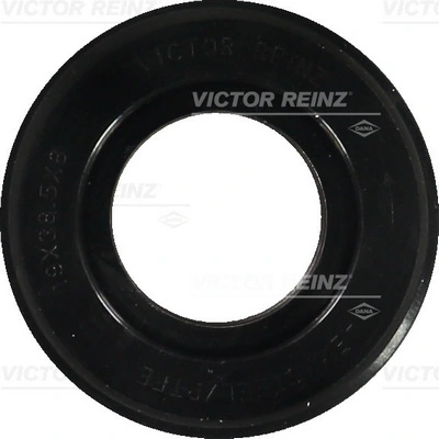 813931100 Victor Reinz
