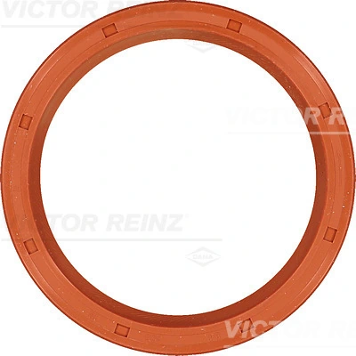 813590800 Victor Reinz