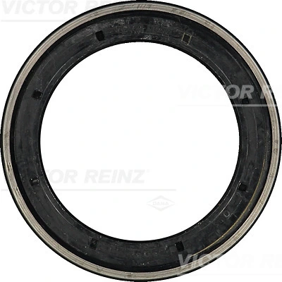 813699800 Victor Reinz