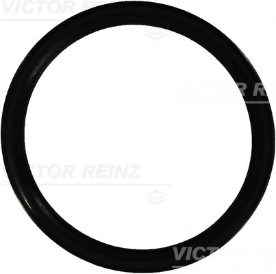 407693310 Victor Reinz