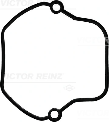 713500100 Victor Reinz