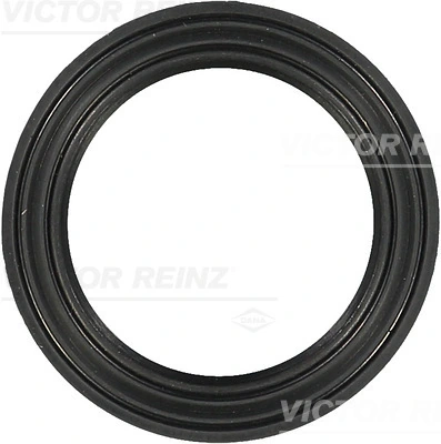 713734100 Victor Reinz
