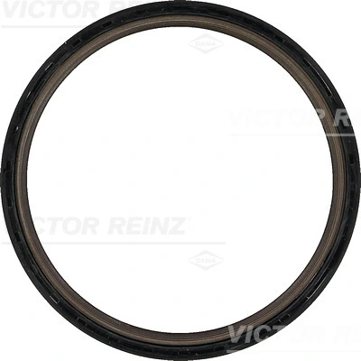 811041000 Victor Reinz