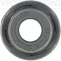 705416900 Victor Reinz