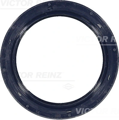 815325700 Victor Reinz