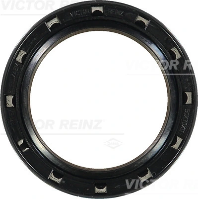 813823700 Victor Reinz