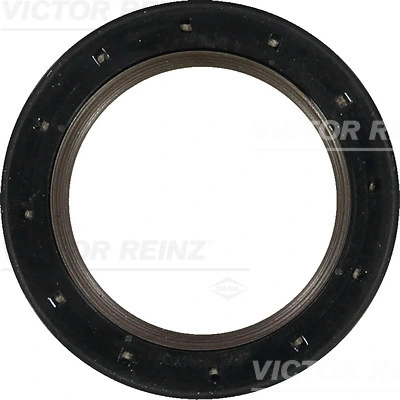 811041300 Victor Reinz