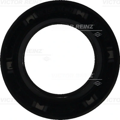 814273400 Victor Reinz