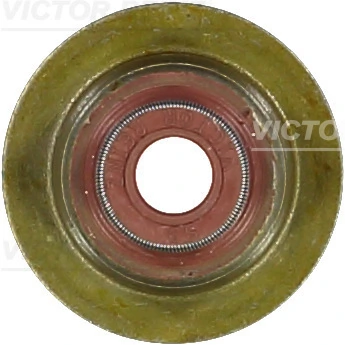 703524100 Victor Reinz
