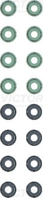 125337801 Victor Reinz