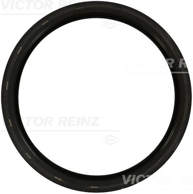 811059600 Victor Reinz