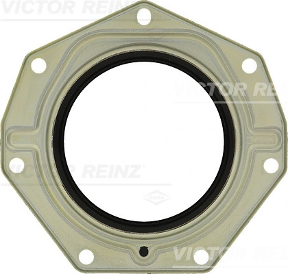 819006300 Victor Reinz