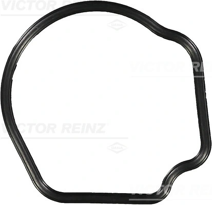 713624200 Victor Reinz